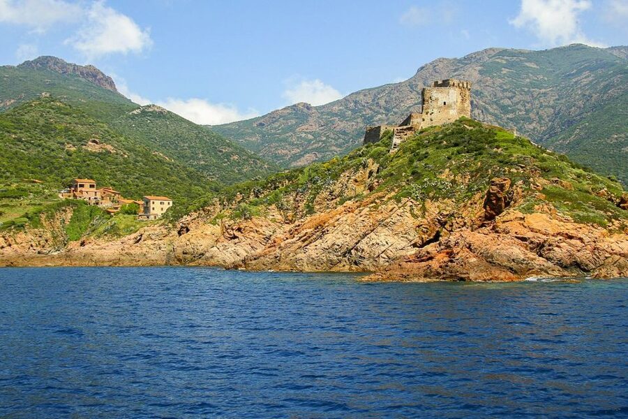 From Ota: Scandola Nature Reserve Eco-Friendly Boat Tour - Price and value: how $53 stacks up for what you’re getting