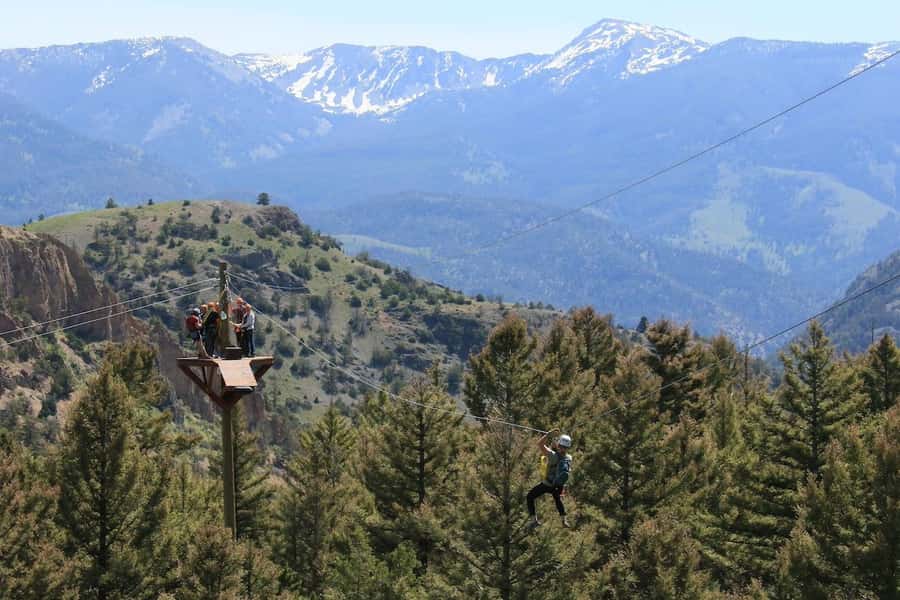 Gardiner: Guided Zipline EcoTour (3 hours) - Four Zips, Two Adventure Elements, and Forest Platforms at Fifty Feet