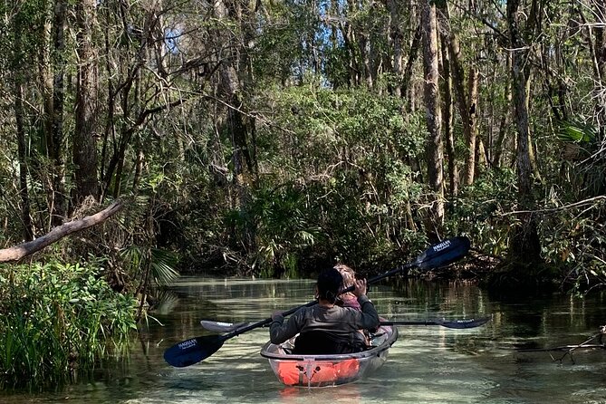 Glass Bottom Kayak Eco Tour through Rainbow Springs - Key highlights to know before you go