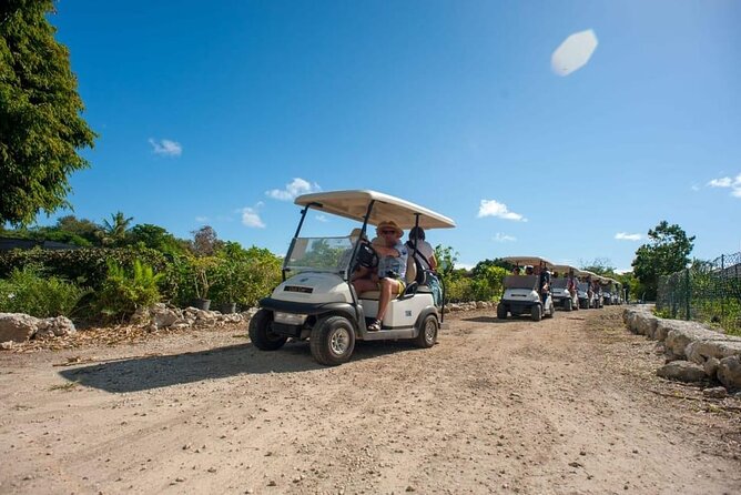 Golf Cart Eco Tour Half Day Tour - Electric Golf Carts Around Punta Cana’s Real-World Nature Spots