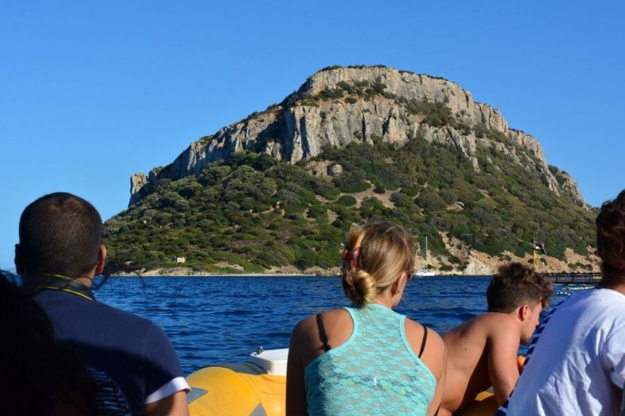 Golfo Aranci: Eco-Friendly Dolphin Watching Boat Trip - Zodiac comfort, wetness, and how long you’re actually out there