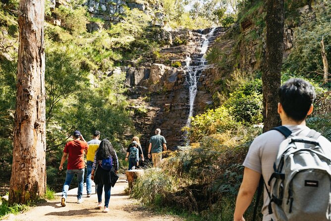 Grampians National Park Small-Group Eco Tour from Melbourne - Key things to know before you go
