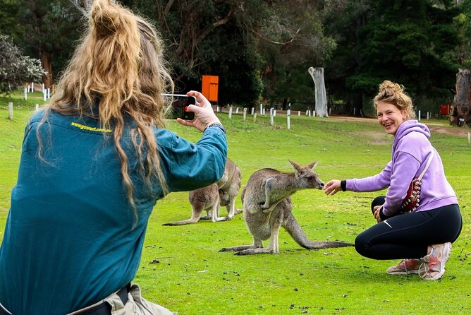 Grampians National Park Small-Group Eco Tour from Melbourne - Wonderland Loop circuit: the Grand Canyon hike that surprises people