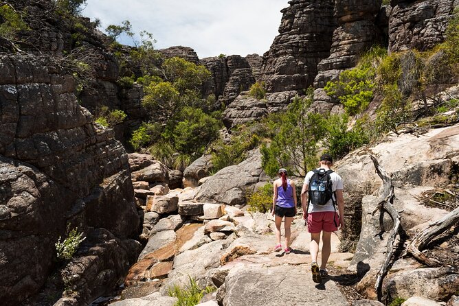 Grampians National Park Small-Group Eco Tour from Melbourne - Pickup and onboard perks: small touches that reduce friction