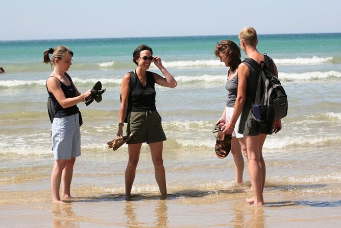 Great Ocean Road Full-Day Sunset Eco Tour from Melbourne - Heading Back to Melbourne: Colac Dinner and the Long-Way Home