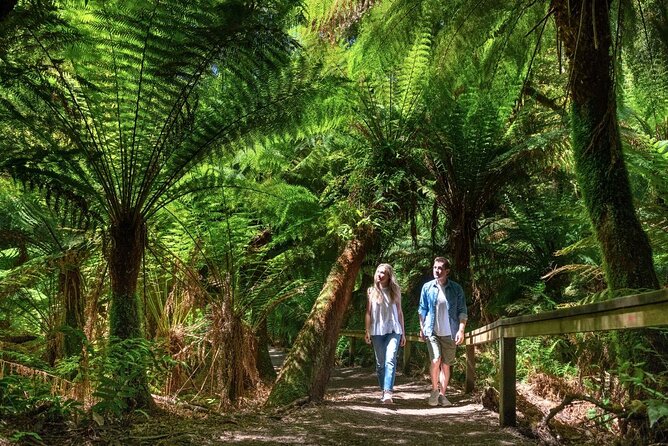 Great Ocean Road Small-Group Eco Tour from Melbourne - Price and value: what $106.87 really buys you