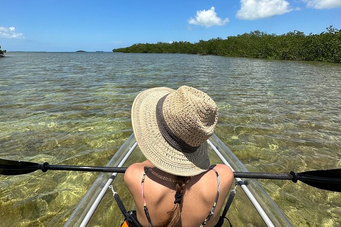 Guided Clear Kayak Eco-Tour Near Key West - Clear Kayaks Near Key West: What You’re Paying For With $79
