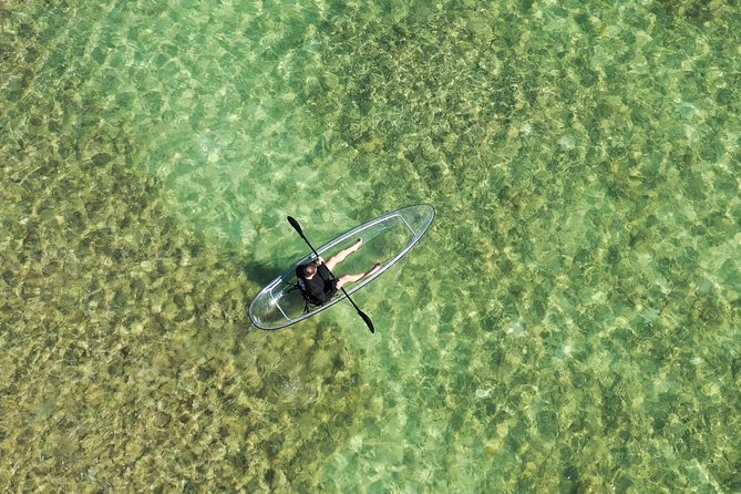 Guided Clear Kayak Eco-Tour Near Key West - Where You Start by the Overseas Highway (And How to Prep)