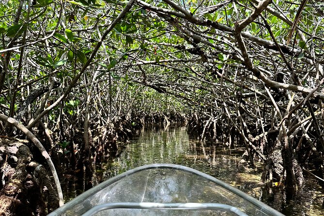 Guided Clear Kayak Eco-Tour Near Key West - Guides Make It Click: Heidi, Sara, Stacy, Hatchet, Rebecca, Claudia