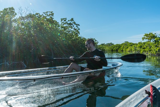 Guided Clear Kayak Eco-Tour Near Key West - What Two Hours Feels Like: Pace, Group Size, and Tandem Reality