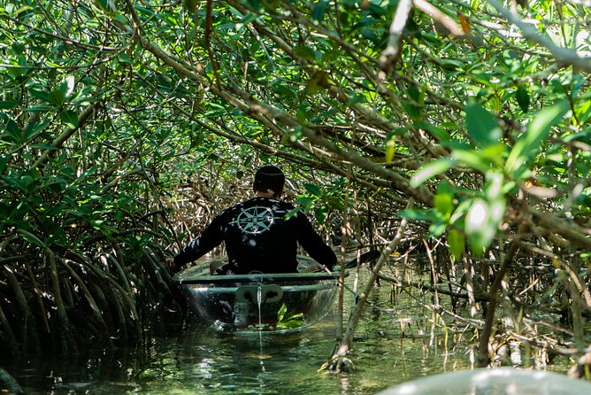Guided Clear Kayak Eco-Tour Near Key West - Packing and Comfort Checklist for Clear Kayak Day
