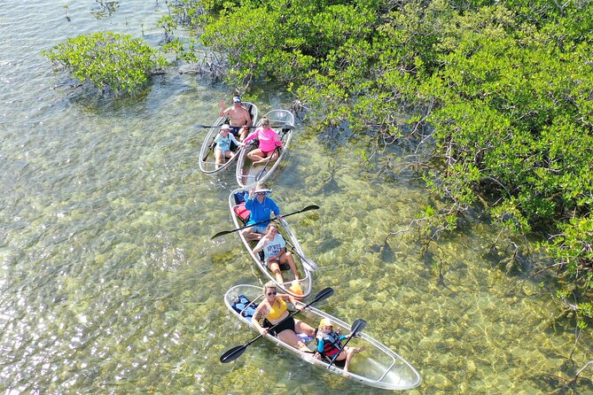 Guided Clear Kayak Eco-Tour Near Key West - Sugarloaf Key First Stop: Short Paddle, Big Ecosystem Payoff