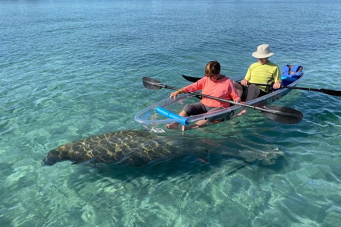 Guided Clear Kayak Eco-Tour of Jupiter - Key things that make this tour worth your time