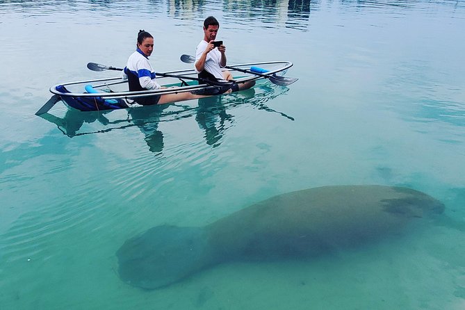 Guided Clear Kayak Eco-Tour of Jupiter - Meet at Jupiter Inlet Lighthouse & Museum: start with an easy plan