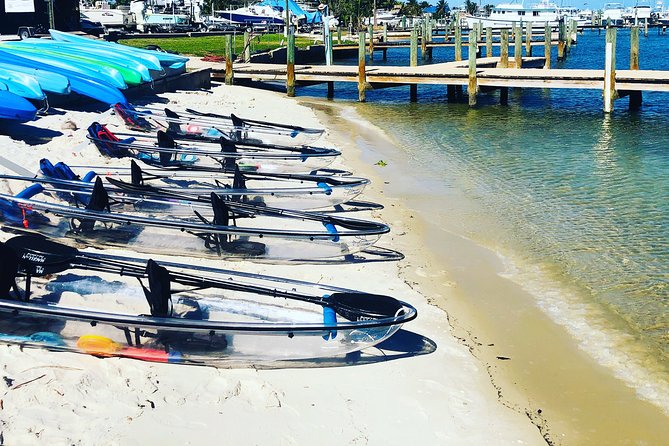 Guided Clear Kayak Eco-Tour of Jupiter - Mangrove-protected lagoon near Cato’s Bridge: calm water where wildlife tends to show up