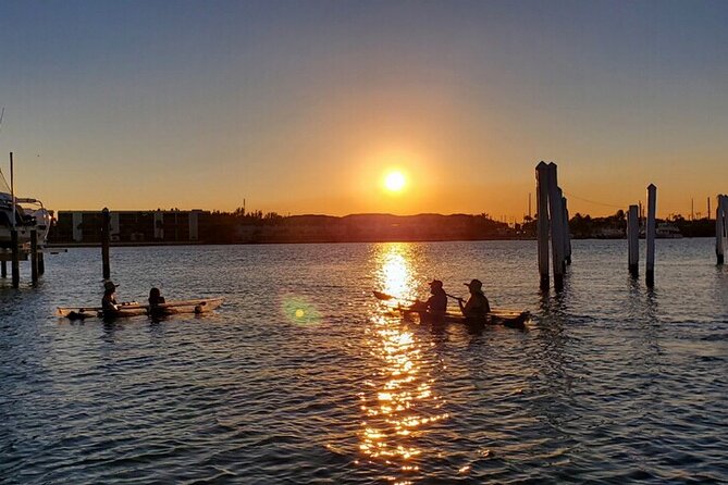 Guided Clear Kayak Eco-Tour of Jupiter - Indian River Lagoon + sandbar break: where the tour slows down enough to notice details