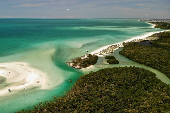 Guided Dolphin Eco Tour by Kayak & SUP - Fort Myers Beach, FL - The Guides Make This Tour: Watch for Names Like Nick and Hannah