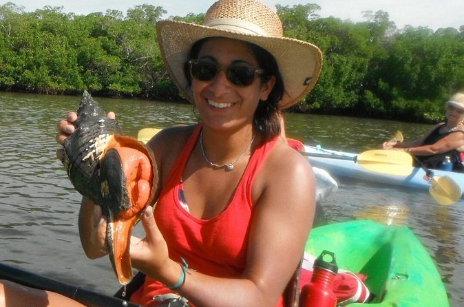 Guided Dolphin Eco Tour by Kayak & SUP - Fort Myers Beach, FL - Dolphins and Manatees: How to Set Expectations the Smart Way