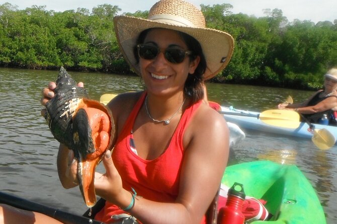 Guided Dolphin Eco Tour by Kayak & SUP - Fort Myers Beach, FL - Shelling at Big Hickory: Why This Part Is So Popular