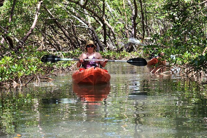 Guided Dolphin Eco Tour by Kayak & SUP - Fort Myers Beach, FL - What Happens in the 2.5 Hours (Without the Guesswork)