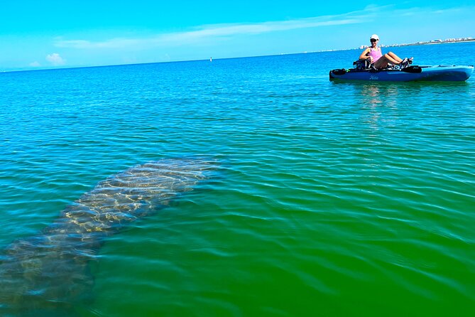 Guided Hobie Kayak EcoTour: Premium Eco Experience Bonita Springs - Key points before you go