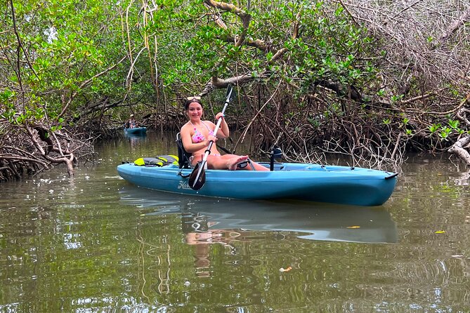 Guided Hobie Kayak EcoTour: Premium Eco Experience Bonita Springs - Price and value: is $70 worth it?