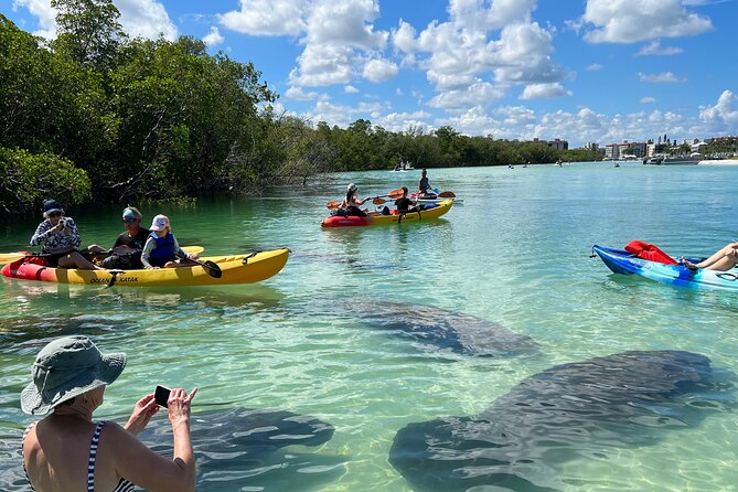 Guided Island EcoTour: CLEAR/Standard Kayak, SUP - Bonita Springs - Key Highlights You’ll Feel Right Away