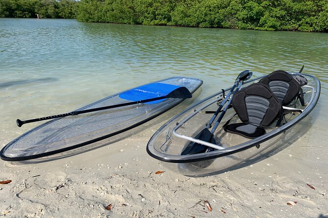 Guided Island EcoTour: CLEAR/Standard Kayak, SUP - Bonita Springs - CLEAR Kayaks and Big Hickory Island: What Makes This Paddle Different