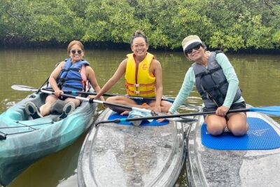 Guided Island EcoTour: CLEAR/Standard Kayak, SUP - Bonita Springs - What Happens During the 2.5-Hour Tour (Mangroves, Beaches, and Wildlife Search)