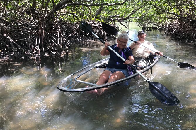 Guided Island EcoTour: CLEAR/Standard Kayak, SUP - Bonita Springs - Choosing Your Boat: CLEAR Kayak vs Standard Kayak vs SUP
