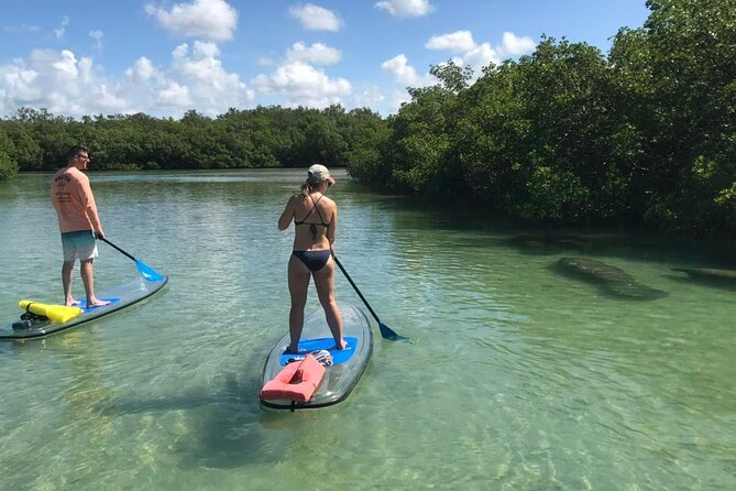 Guided Island EcoTour: CLEAR/Standard Kayak, SUP - Bonita Springs - How to Prepare So the Trip Feels Easy (Hat, Water Shoes, and Real Pacing)