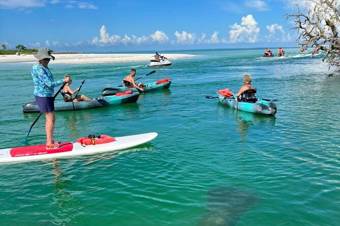 Guided Island EcoTour: CLEAR/Standard Kayak, SUP - Bonita Springs - Price and Value: Why $50 Feels Fair for What You Get