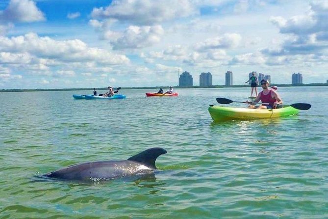 Guided Island EcoTour: CLEAR/Standard Kayak, SUP - Bonita Springs - Weather, Tides, and Route Changes: What Can Shift Without Spoiling Your Day