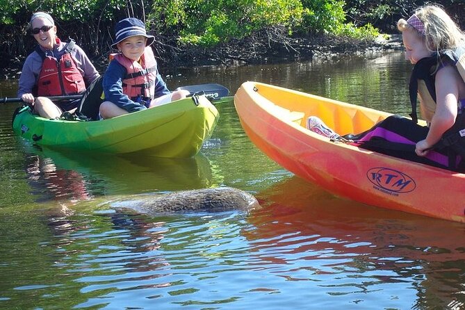 Guided Kayak Dolphin Eco Tour in Pelican Bay - Guides Make or Break the Trip: Jay, Ty, Sky, Mike, and Jessica