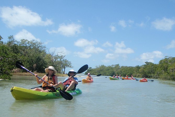 Guided Kayak Eco Tour - Bunche Beach - Quick Reasons This Bunche Beach Paddle Gets 4.9 Stars
