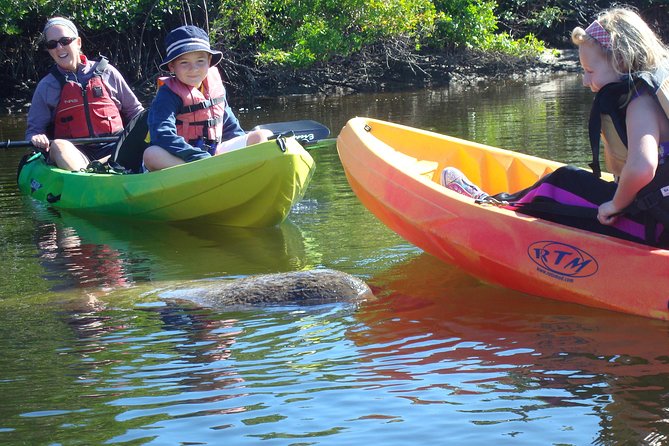 Guided Kayak Eco Tour - Bunche Beach - Getting Started at Kayak Excursions, Bunche Beach