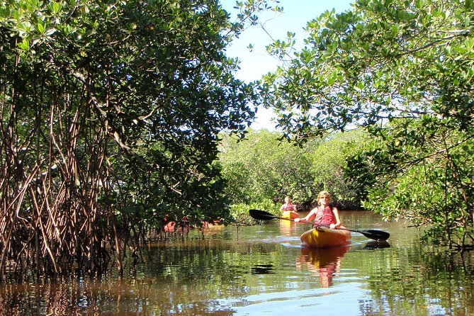 Guided Kayak Eco Tour - Bunche Beach - Price and Value: Is $69.95 a Fair Deal?