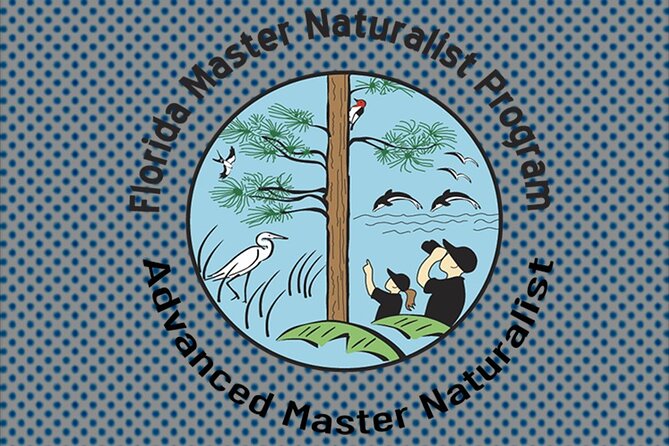 Guided Kayak Eco Tour: Real Florida Adventure - Lofton Creek in Amelia Island: why this feels like real Florida