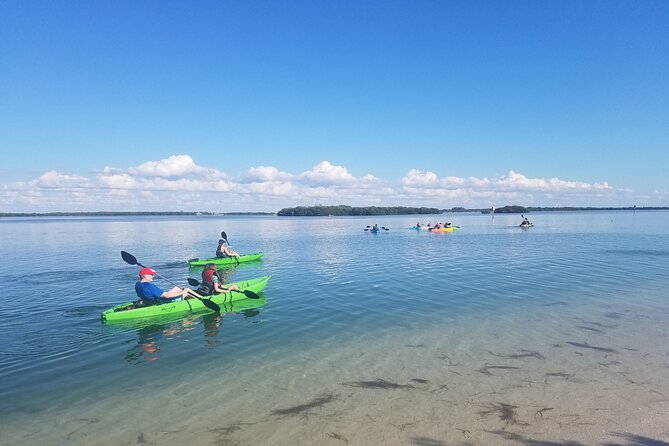 Guided Kayak EcoTour of Beautiful Shell Key Preserve - Key points before you go