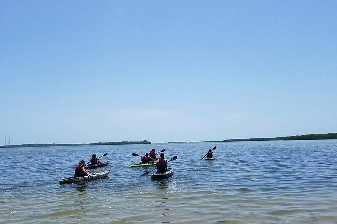 Guided Kayak EcoTour of Beautiful Shell Key Preserve - Shell Key Preserve from a Kayak: What You’ll Actually Experience