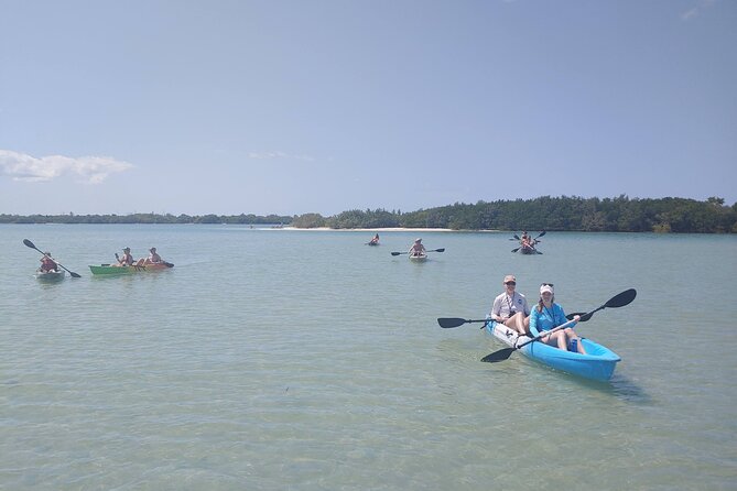Guided Kayak EcoTour of Beautiful Shell Key Preserve - The Paddle to Shell Key Preserve: Mangroves, Sea Grass Flats, and a Real Sense of Place