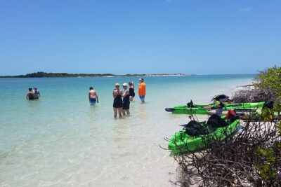 Guided Kayak EcoTour of Beautiful Shell Key Preserve - Stop 1: Shell Key Shoal Beach Time and Shell Collecting