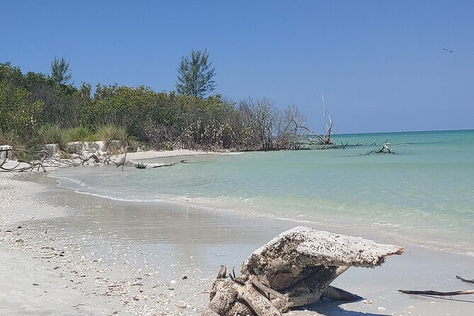 Guided Kayak EcoTour of Beautiful Shell Key Preserve - The Guide Makes It: How Nick (and Others) Change the Trip
