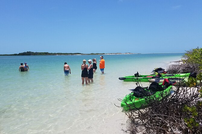 Guided Kayak EcoTour of Beautiful Shell Key Preserve - Stop 1: Shell Key Shoal Beach Time and Shell Collecting