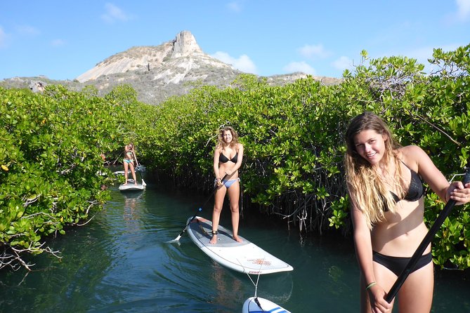 Guided paddleboarding (SUP) mangrove ECO tour for beginners - Key things I’d watch for before you book