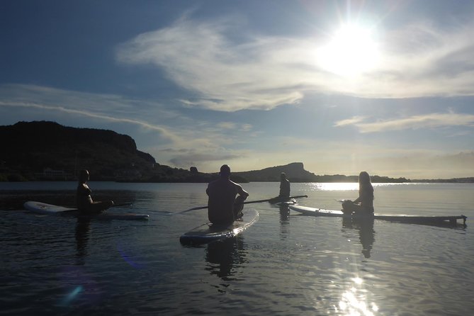 Guided paddleboarding (SUP) mangrove ECO tour for beginners - What You’ll Do in the 2 Hours: Intro, Mangrove Paddle, Break, Return