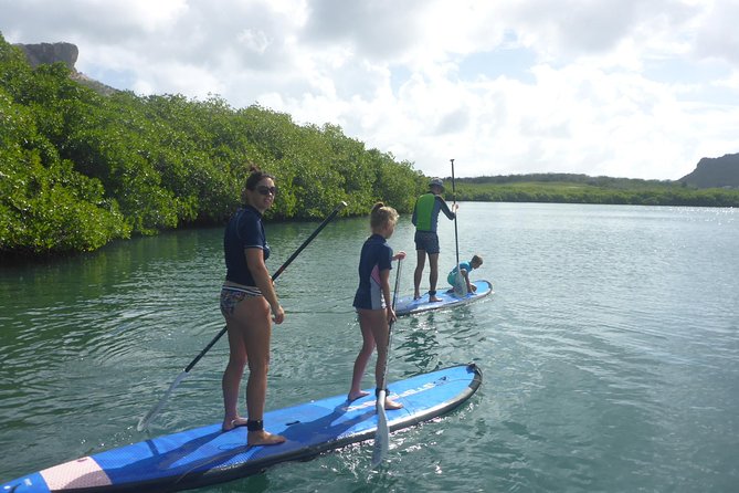 Guided paddleboarding (SUP) mangrove ECO tour for beginners - Price and Value: What $65 Buys You on the Water