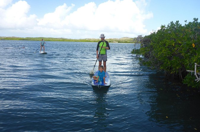 Guided paddleboarding (SUP) mangrove ECO tour for beginners - Pickup, Timing, and How to Plan Your Day Around Jan Thiel