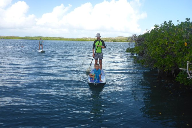 Guided paddleboarding (SUP) mangrove ECO tour for beginners - What to Bring (and What to Watch for in Sun, Wind, and Gear)