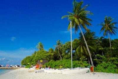 Half-Day Original Eco Tour to Villimale From Malé - Meeting at Jetty 5 and taking the public ferry